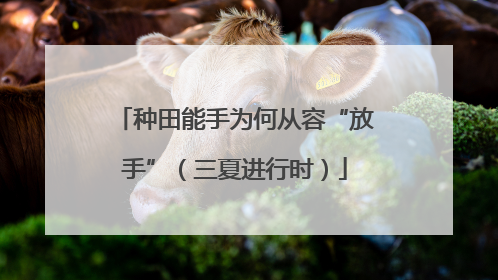 种田能手为何从容“放手”（三夏进行时）