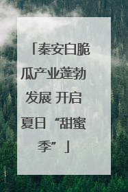 秦安白脆瓜产业蓬勃发展 开启夏日“甜蜜季”