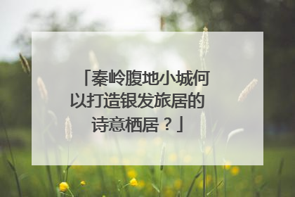 秦岭腹地小城何以打造银发旅居的诗意栖居？