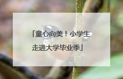 童心向美！小学生走进大学毕业季