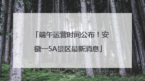 端午运营时间公布！安徽一5A景区最新消息