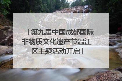 第九届中国成都国际非物质文化遗产节温江区主题活动开启