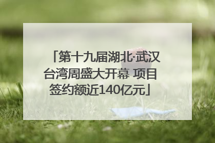 第十九届湖北·武汉台湾周盛大开幕 项目签约额近140亿元