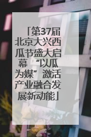 第37届北京大兴西瓜节盛大启幕 “以瓜为媒”激活产业融合发展新动能