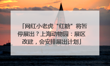 网红小老虎“红糖”将暂停展出？上海动物园：展区改建，会安排展出计划