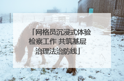 网格员沉浸式体验检察工作 共筑基层治理法治防线