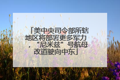 美中央司令部所辖地区将部署更多军力，“尼米兹”号航母改道驶向中东