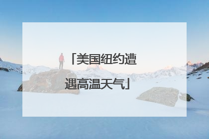 美国纽约遭遇高温天气