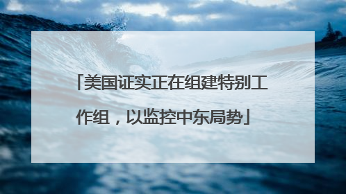美国证实正在组建特别工作组，以监控中东局势