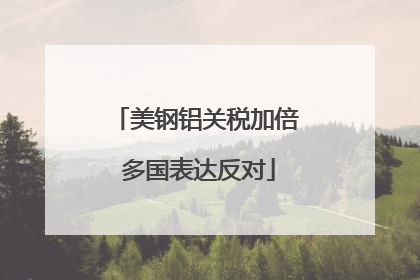 美钢铝关税加倍 多国表达反对