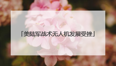 美陆军战术无人机发展受挫