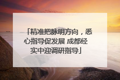 精准把脉明方向，悉心指导促发展 成都经实中迎调研指导