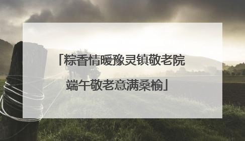 粽香情暖豫灵镇敬老院 端午敬老意满桑榆
