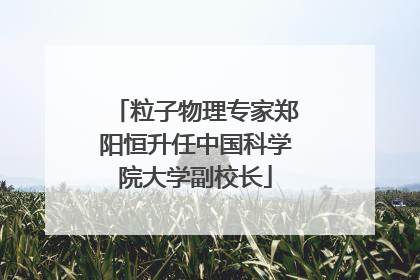 粒子物理专家郑阳恒升任中国科学院大学副校长