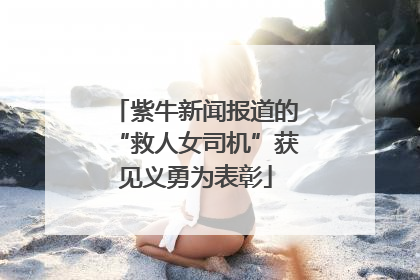 紫牛新闻报道的“救人女司机”获见义勇为表彰