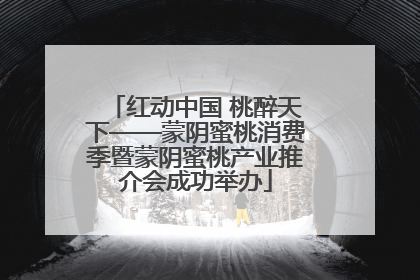 红动中国 桃醉天下——蒙阴蜜桃消费季暨蒙阴蜜桃产业推介会成功举办