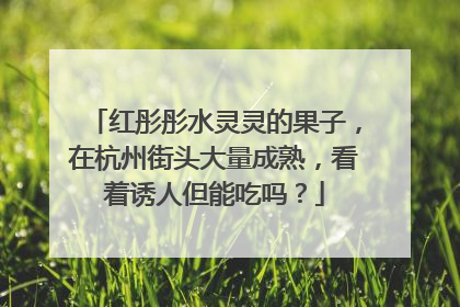 红彤彤水灵灵的果子，在杭州街头大量成熟，看着诱人但能吃吗？