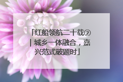红船领航二十载②｜城乡一体融合，嘉兴范式破题时