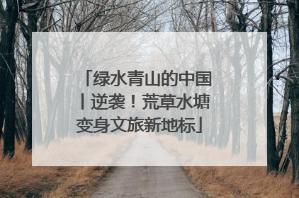 绿水青山的中国丨逆袭！荒草水塘变身文旅新地标