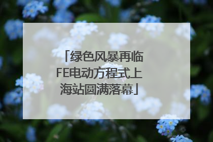 绿色风暴再临 FE电动方程式上海站圆满落幕