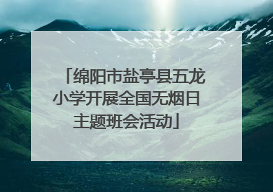 绵阳市盐亭县五龙小学开展全国无烟日主题班会活动