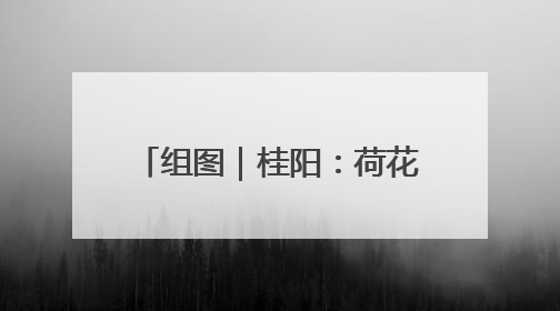 组图｜桂阳：荷花悄然绽放 碧波荷叶绘就美好夏日画卷