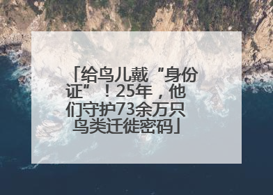 给鸟儿戴“身份证”！25年，他们守护73余万只鸟类迁徙密码
