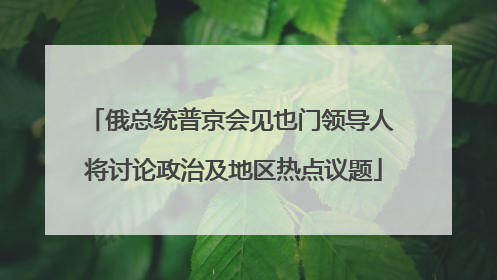 俄总统普京会见也门领导人 将讨论政治及地区热点议题