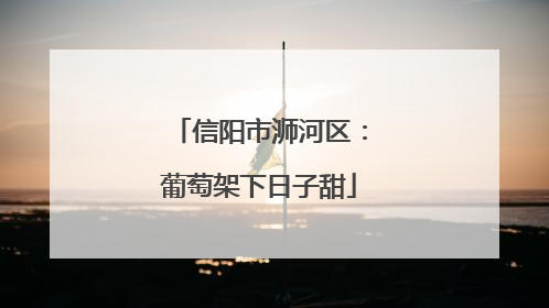信阳市浉河区：葡萄架下日子甜