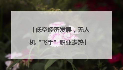 低空经济发展，无人机“飞手”职业走热