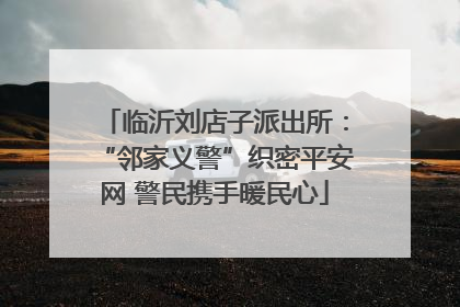 临沂刘店子派出所：“邻家义警”织密平安网 警民携手暖民心