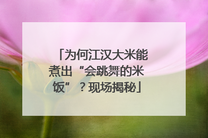 为何江汉大米能煮出“会跳舞的米饭”？现场揭秘