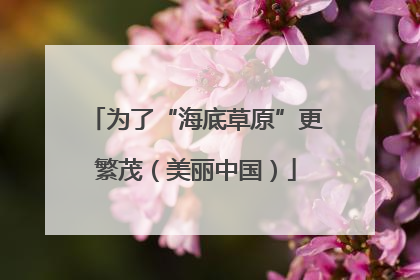 为了“海底草原”更繁茂（美丽中国）