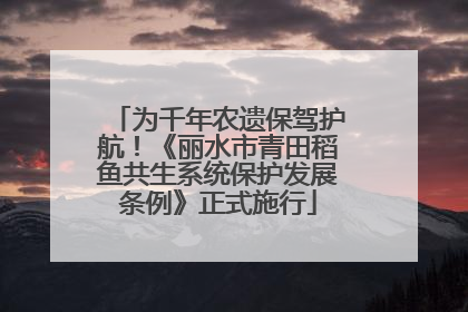 为千年农遗保驾护航！《丽水市青田稻鱼共生系统保护发展条例》正式施行