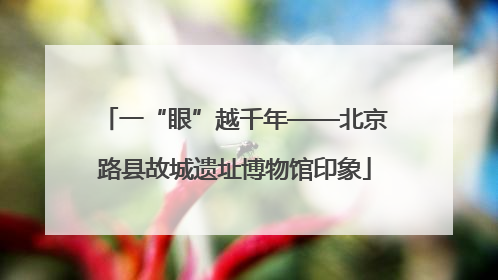 一“眼”越千年——北京路县故城遗址博物馆印象