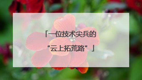 一位技术尖兵的“云上拓荒路”