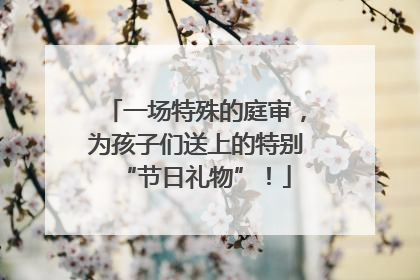 一场特殊的庭审，为孩子们送上的特别“节日礼物”！