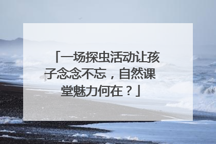 一场探虫活动让孩子念念不忘，自然课堂魅力何在？