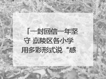 一封回信一年坚守 嘉陵区各小学用多彩形式说“感恩”｜风起之江 扶摇直上