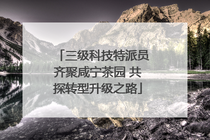 三级科技特派员齐聚咸宁茶园 共探转型升级之路