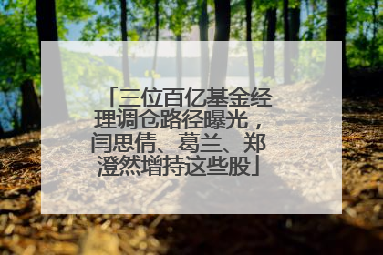 三位百亿基金经理调仓路径曝光，闫思倩、葛兰、郑澄然增持这些股