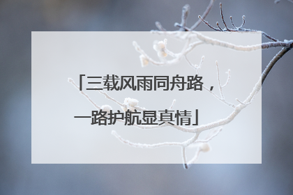 三载风雨同舟路，一路护航显真情