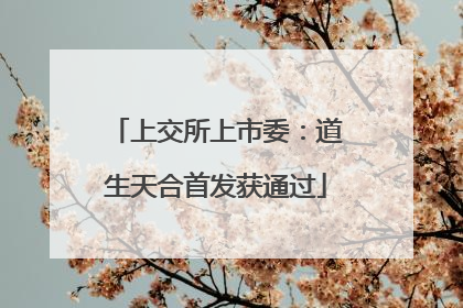 上交所上市委：道生天合首发获通过