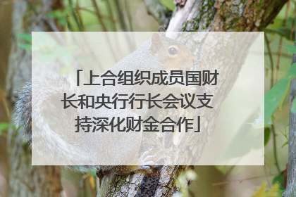 上合组织成员国财长和央行行长会议支持深化财金合作