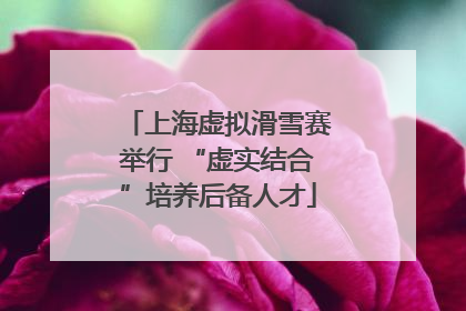 上海虚拟滑雪赛举行 “虚实结合”培养后备人才