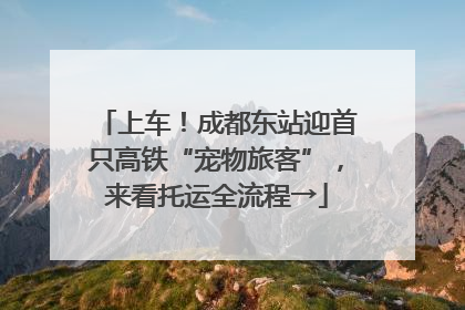 上车！成都东站迎首只高铁“宠物旅客”，来看托运全流程→