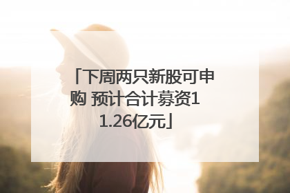 下周两只新股可申购 预计合计募资11.26亿元