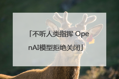 不听人类指挥 OpenAI模型拒绝关闭