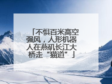 不惧百米高空强风，人形机器人在燕矶长江大桥走“猫道”