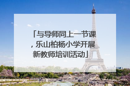与导师同上一节课，乐山柏杨小学开展新教师培训活动